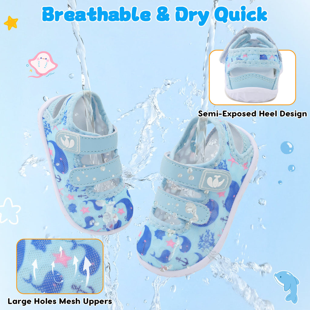 Baby Blue Dolphin Water shoe B