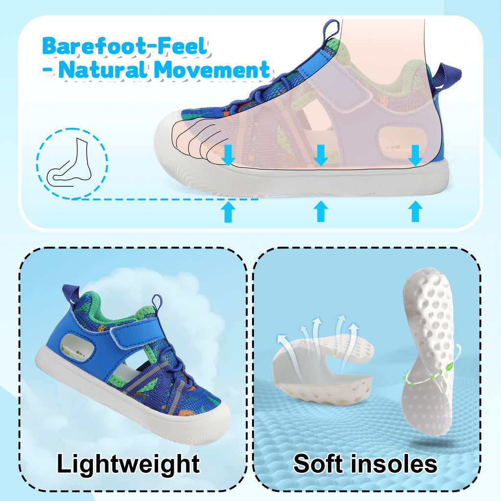 Baby Dinosaur Water shoe D